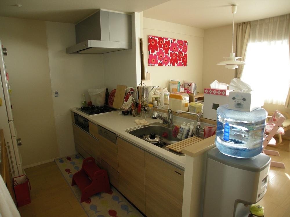 Kitchen. Indoor (12 May 2013) Shooting