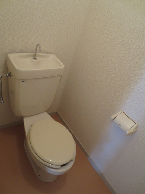 Toilet. Toilet