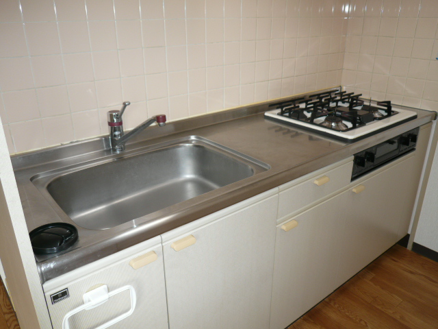 Kitchen. System kitchen (gas stove)