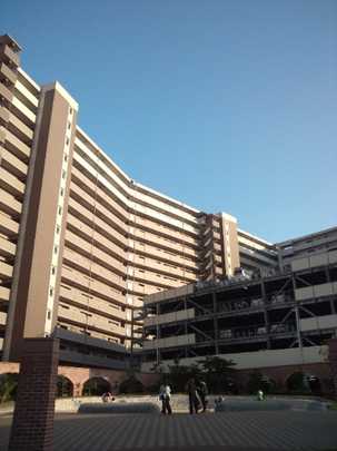 Local appearance photo. Appearance (1)