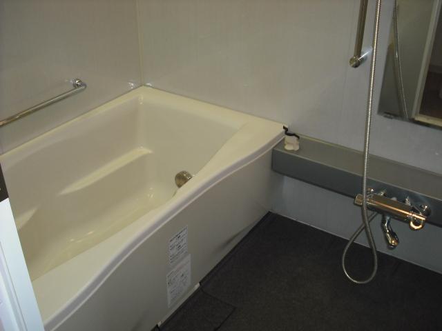 Bathroom. Indoor (10 May 2013) Shooting