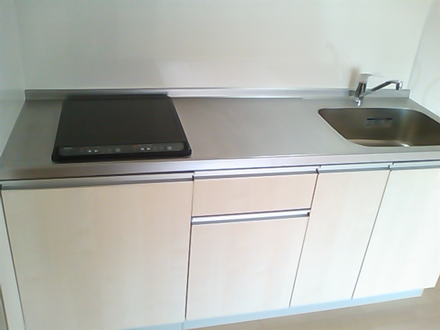 Kitchen. Hygienic IH stove attractive