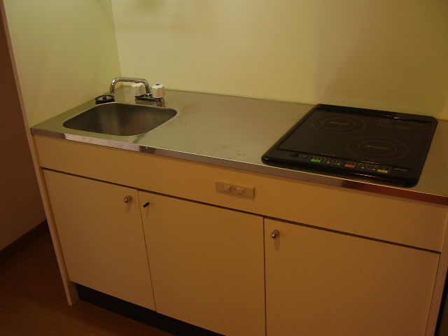 Kitchen. Two-burner stove and sink the spread of IH