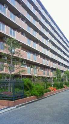 Local appearance photo. Appearance (1)