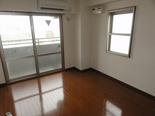 Living and room. Beautiful Western-style (flooring). 