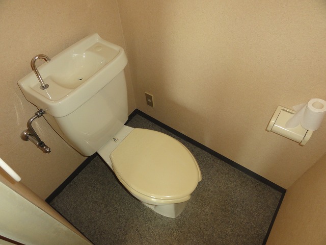 Toilet. Toilet