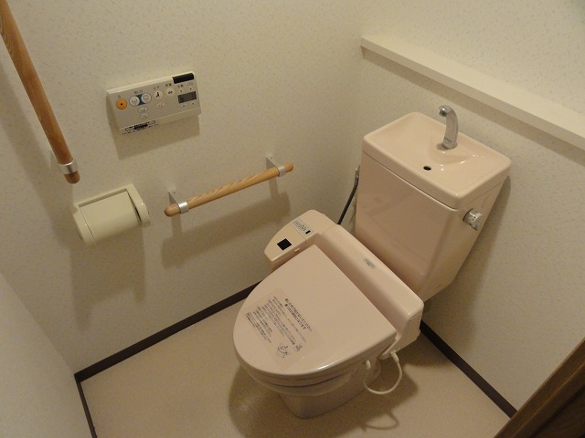 Toilet. Toilet (with washlet! )
