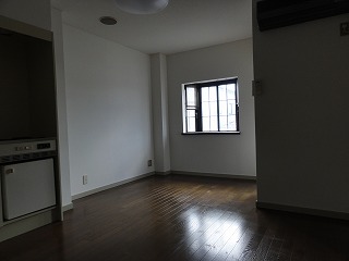 Living and room. Spacious Western-style (flooring)