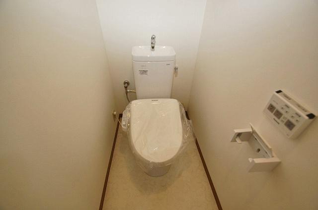Toilet. Cross Insect / Floor CF re-covering