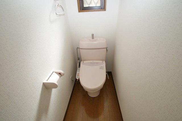 Toilet. Cross re-covered settled
