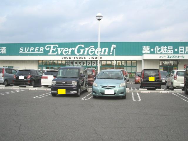 Supermarket. Super Eva Green Sennan store up to (super) 1720m