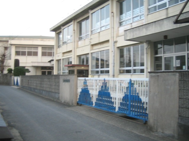 Primary school. Sennan Ritsuo Shin elementary school (elementary school) 800m to