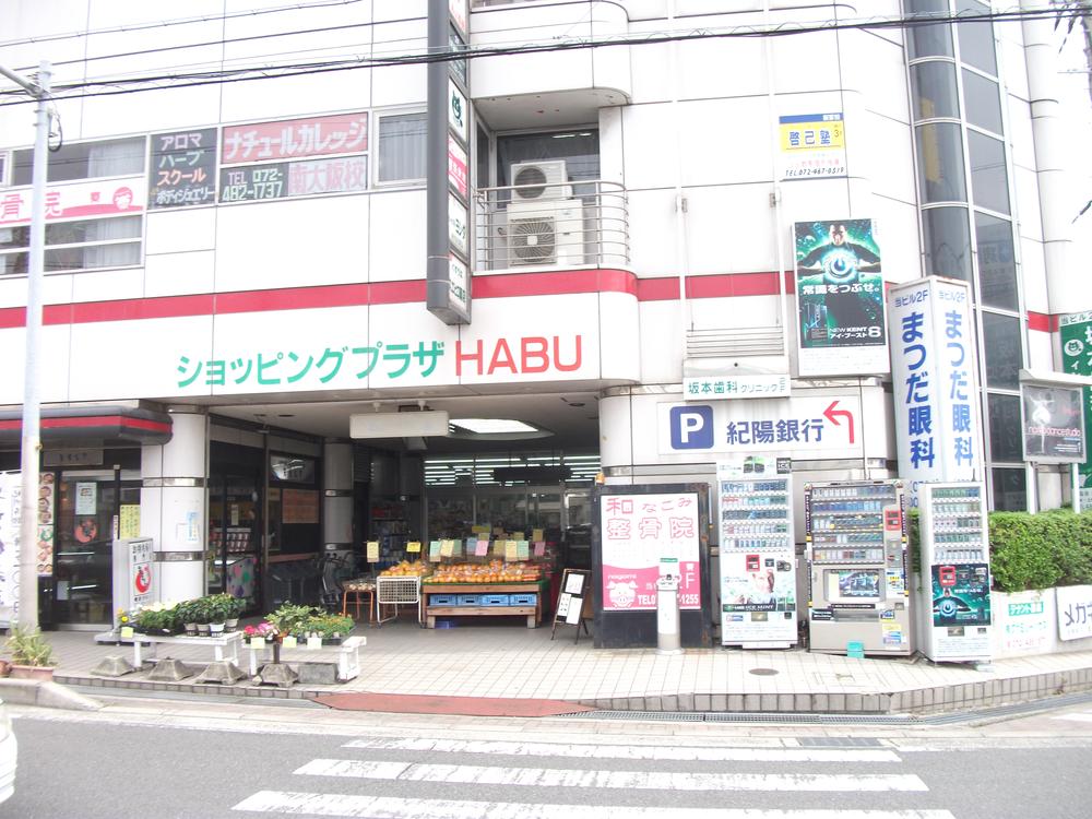 Supermarket. Shopping Plaza HABU 1120m