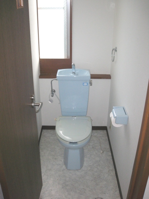 Toilet. Health management in bright toilet