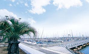 park. Tan'nowa yacht harbor on the southernmost tip of 1730m Satoumi park until Tan'nowa Yacht Harbor, Yacht harbor representing the Kansai, which is also held the famous club race. Not only as a base for marine life, It has also been used as a recreation area office.