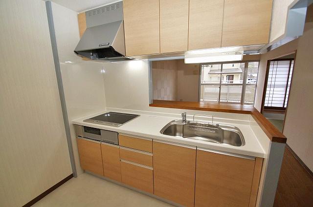 Kitchen. IH system kitchen had made already