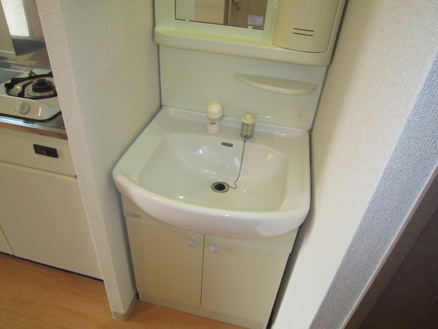 Washroom. Shampoo dresser