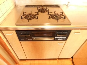 Other. Gas stove