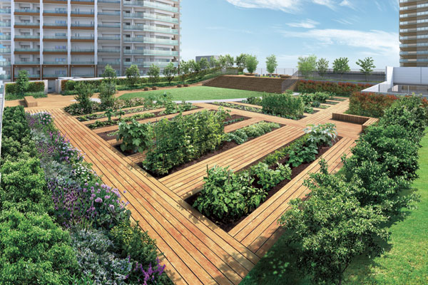 Shared facilities.  [Rooftop garden] It established a community garden that people who live are available for multi-purpose on the roof of the parking building. Vegetable garden to harvest nurture the time of petting while raising fun vegetables, Such as lawn plaza children is Omoikkiri ran or. While petting with nature and fellow under the wide blue sky, We will more and more is superb smile and fun memories (Rendering)