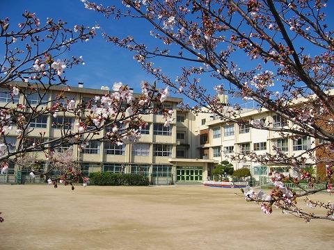 Primary school. Settsu Municipal Torigai to elementary school 1171m