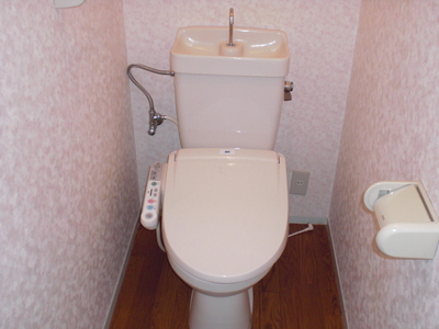Toilet. * In fact Washlet without
