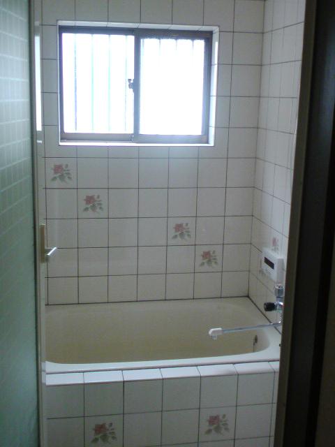 Bathroom. Local (July 2013) Shooting