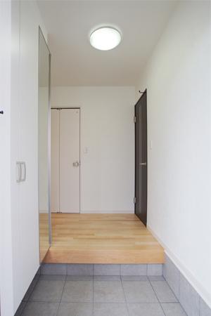 Building plan example (introspection photo). Model room (entrance)