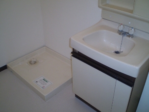 Other. With separate wash basin, Washing machine in the room