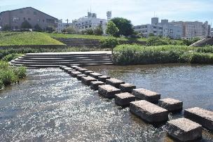 Other Environmental Photo. Taisho River, which flows through the nearby