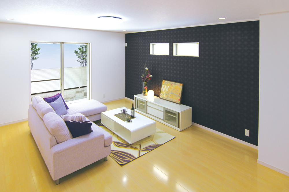 Living. Indoor (September 2013) Shooting