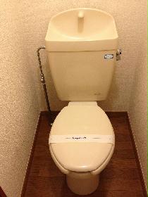 Toilet. Toilet and bath are separate