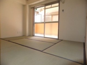 Other. Japanese style room