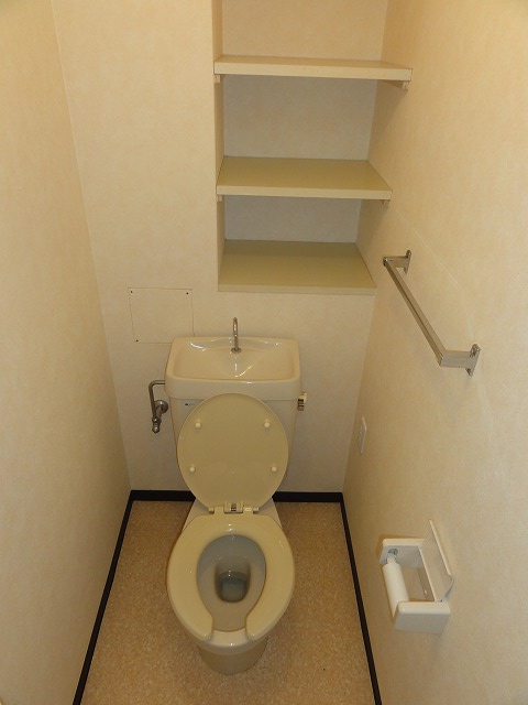Toilet. Storage is hard to! 