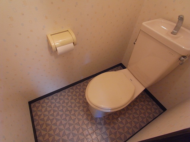 Toilet