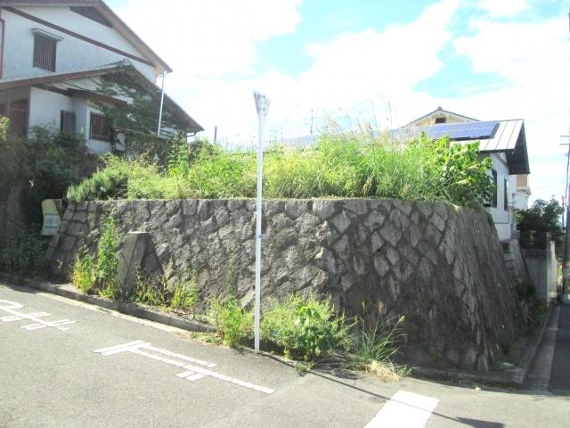 Local appearance photo. ◇ is positive per well per corner lot