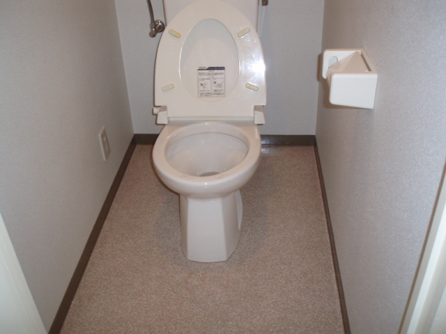 Toilet. Toilet spacious! 