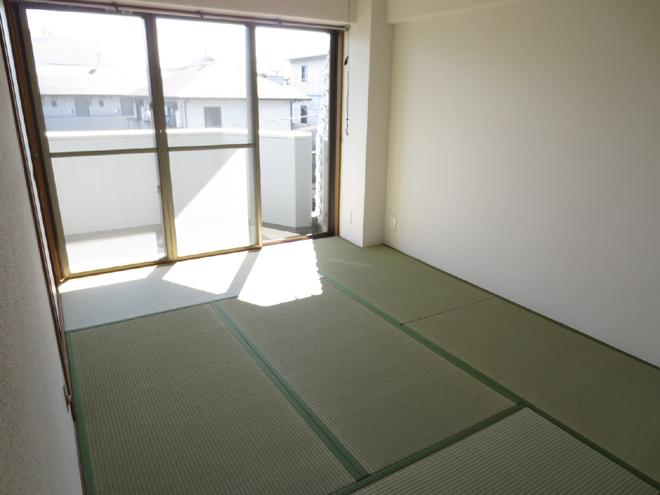 Non-living room. Japanese style room