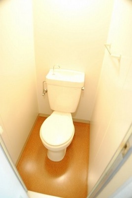 Toilet. Separate toilet