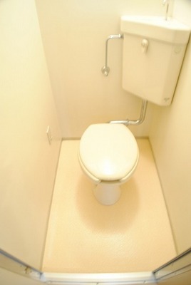 Toilet. It is separate clean a toilet