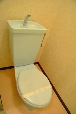 Toilet. A clean toilet