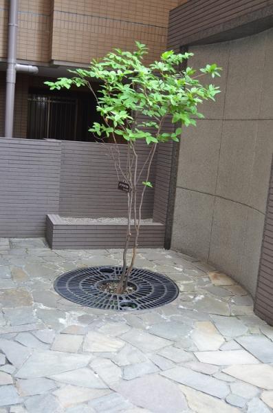 Other common areas