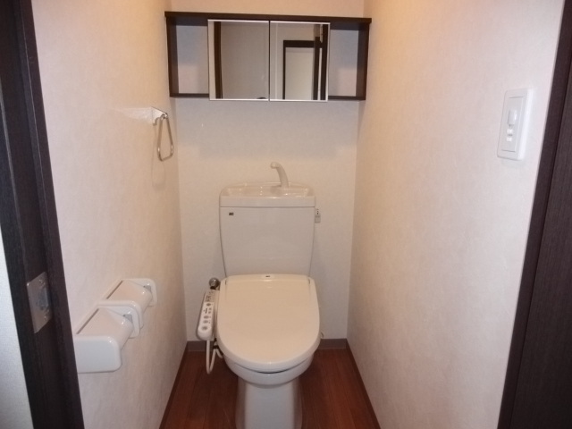 Toilet. Of course with Washlet