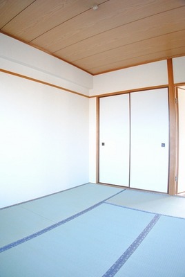 Living and room. Japanese style room