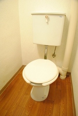 Toilet. Toilet