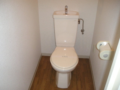 Toilet. Bathing toilet separately, It is a popular testament! !