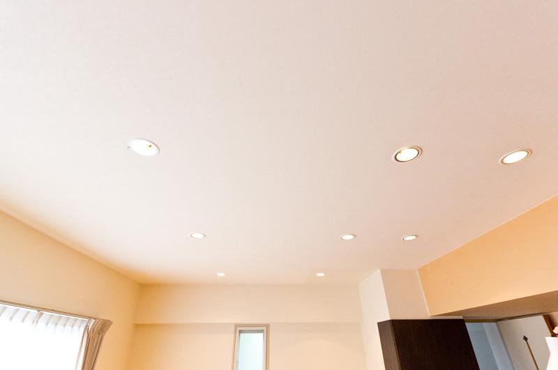 Living. The ceiling of the living room is the down light specification. For us the whole light soft.