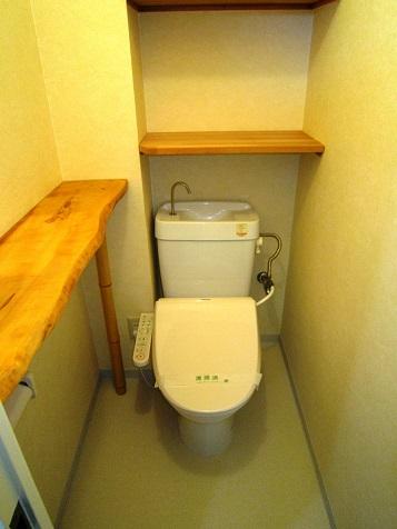 Toilet. December 2013 shooting