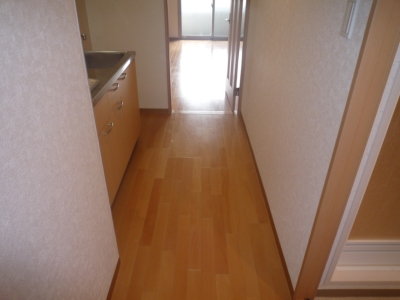 Other common areas. Also spacious hallway part! Kitchen around is also a spacious!