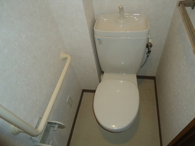 Toilet. Toilet