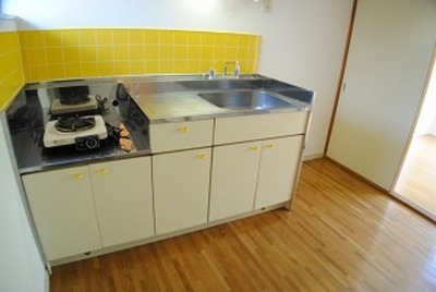 Kitchen. Widely and easy to use kitchen